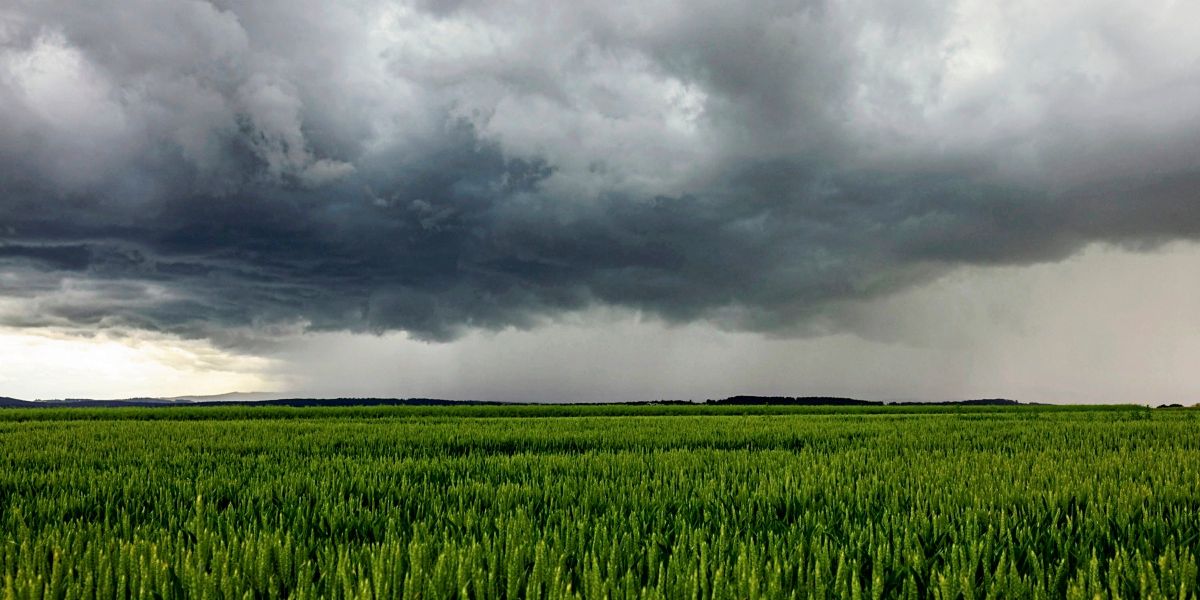 Tornado beschädigte bis zu 50 Gebäude in norddeutscher Kleinstadt
