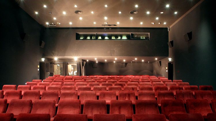 Gehen Sie noch regelmäßig ins Kino? - Film - derStandard.de › Kultur