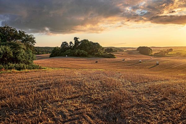 Die-Stadtfl-chtige-Ein-Vorabdruck-aus-Christiane-R-singers-Buch-The-Joy-of-Ageing-