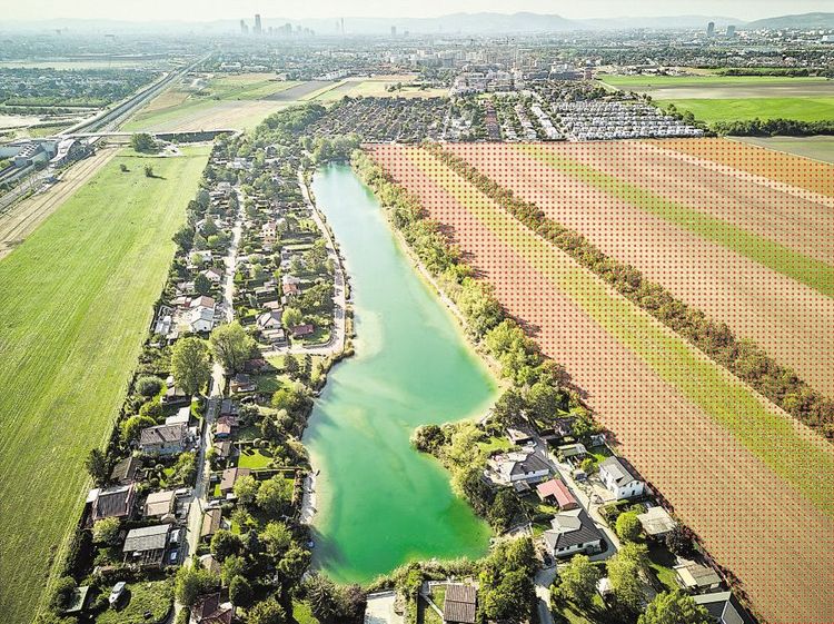 Kleingarten Breitenlee, Äcker und Grünflächen, Bezirk Donaustadt