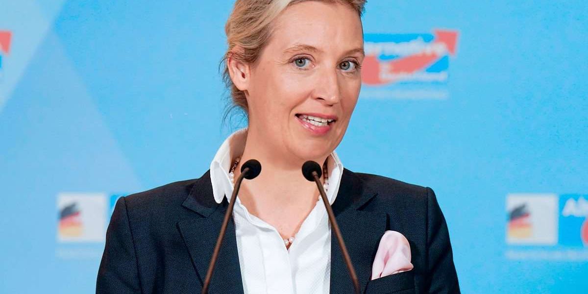 AfD-Chefin Weidel Sieht Brexit-Votum Als Mögliches Modell Für ...