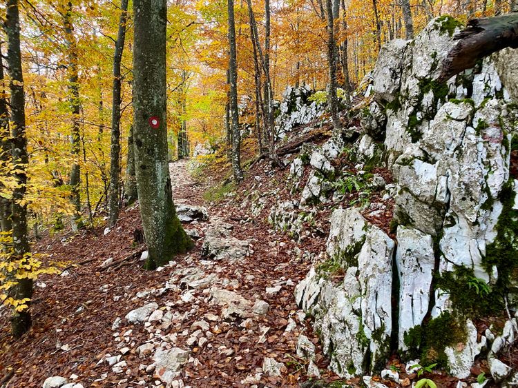 Herbstliche Wanderung auf den Gipfel des Vojak im Ucka-Nationalpark in Istrien