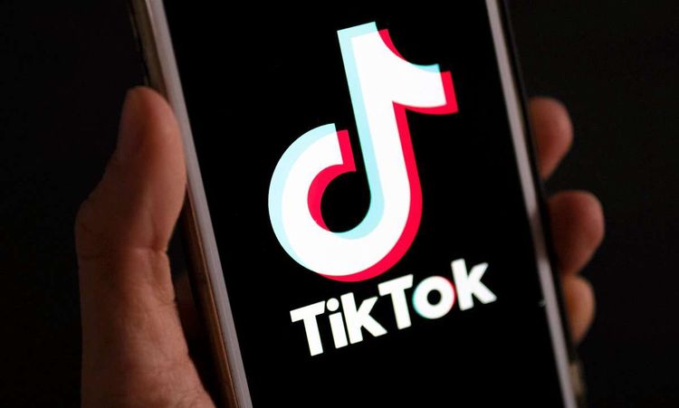Social Media App Tiktok