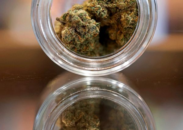 Cannabiskonsum-k-nnte-das-Risiko-f-r-Diabetes-vervierfachen