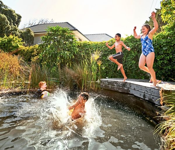 Teich-oder-Pool-Was-haben-Sie-gebaut-Ihre-Erfahrungen-