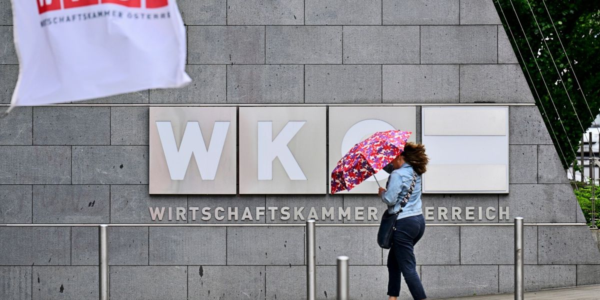 Die Reform der Wirtschaftskammer sollte bei ihrem Wiener Chef beginnen
