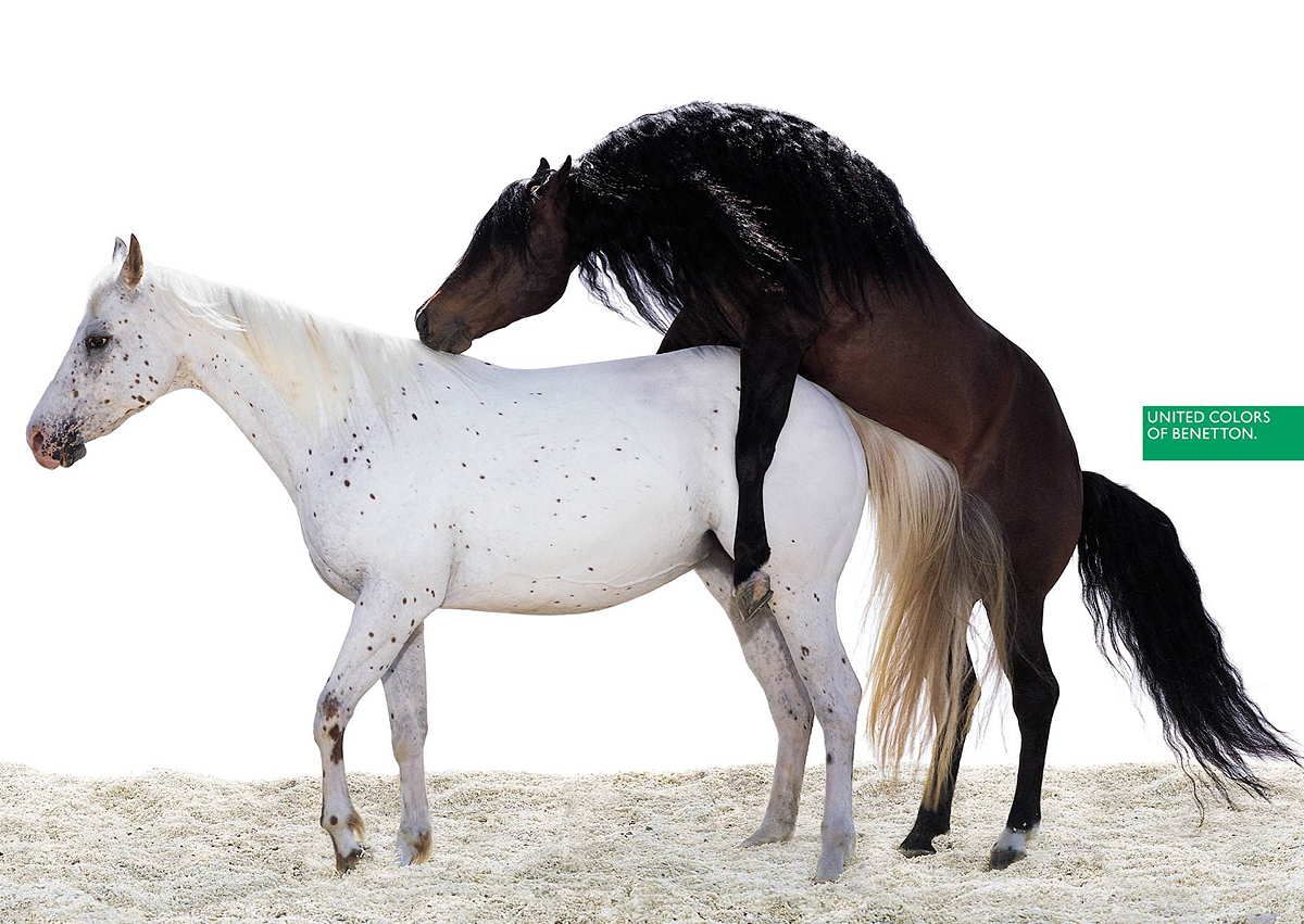 toscani-benetton-horses.jpg