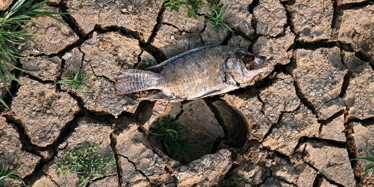 Uno-Klimabericht: Jahr 2023 Brach Alle Hitzerekorde - Video ...