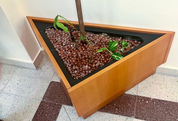 Prozess-gegen-17-J-hrigen-um-Kopfabschneide-Drohung-im-Club