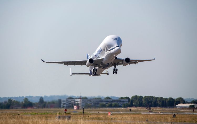 Insgesamt sechs Beluga XL sind für Airbus unterwegs.