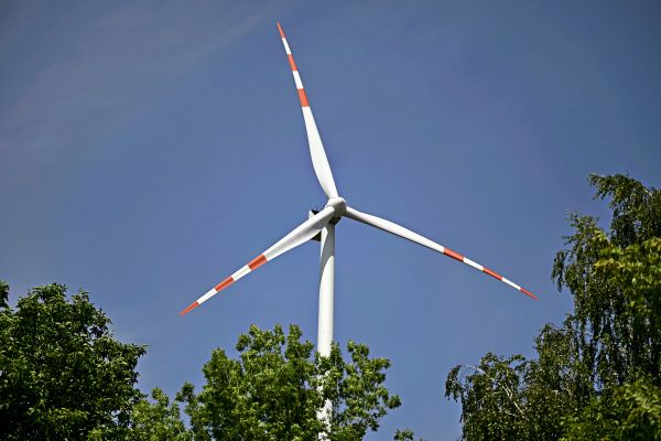 Gegen-Windkraft-Ausbau-Tiroler-Landesregierung-lie-Studie-bei-Vogelschutz-NGO-erarbeiten