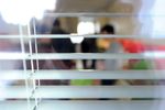 Erster strafunmündiger Intensivtäter in Wiener "Auszeit"-WG eingezogen