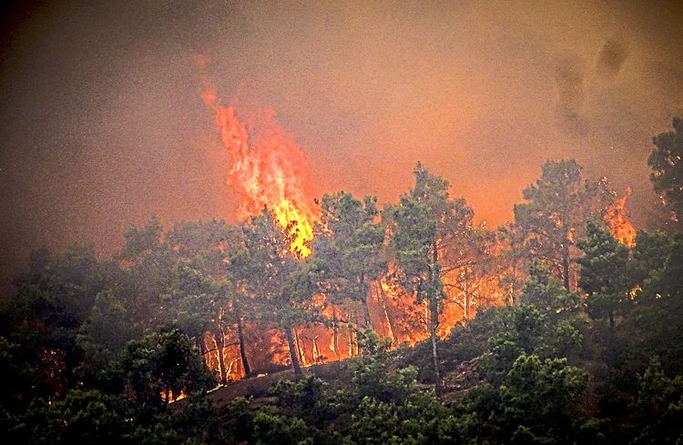 Der Waldbrand auf Rhodos ist zu sehen. Flammen steigen aus dem verrauchten Wald auf.