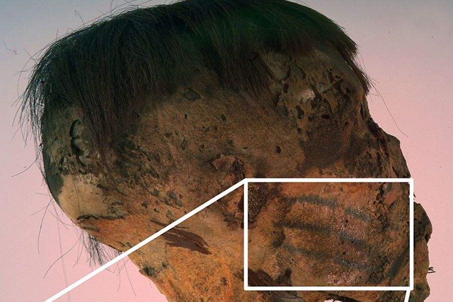 700 Jahre alte Mumie aus den Anden trägt einzigartige Tattoos
