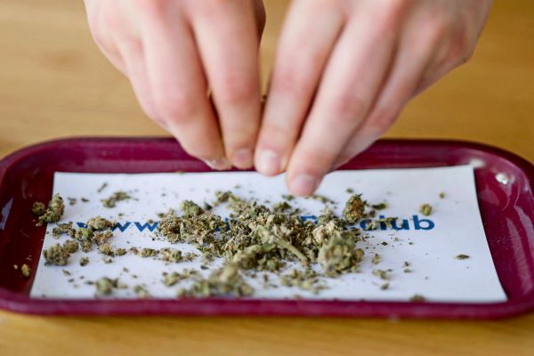 Cannabis-Studie-Fast-jeder-zehnte-Erwachsene-in-Deutschland-kifft