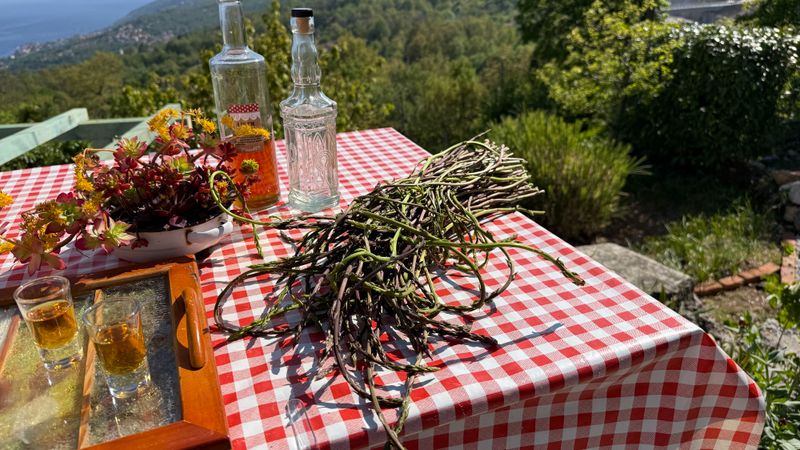 Unterwegs in Istrien: Was Wildspargel so besonders macht