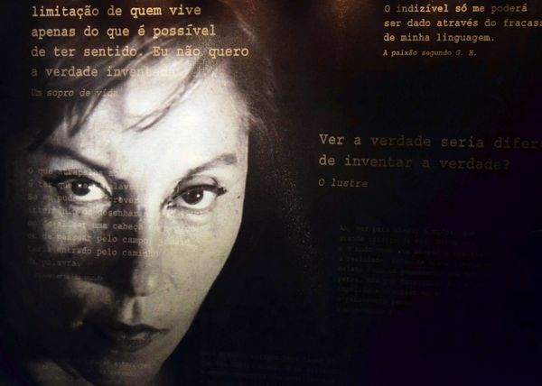 Wie-Autorin-Clarice-Lispector-Zwiesprache-hielt-mit-einer-Kakerlake