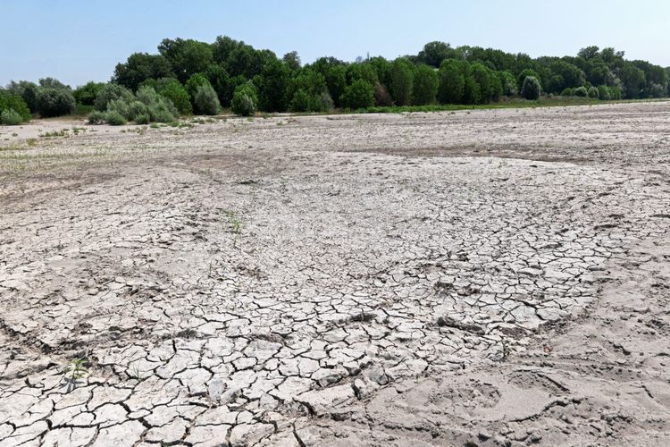 Trockenheit in Italien: "Wasserkrieg" am Gardasee - Europa - derStandard.de  › International