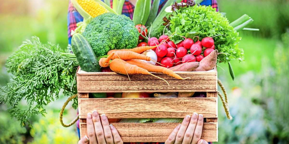 Are organically grown fruits and vegetables automatically healthier? – Nutrition