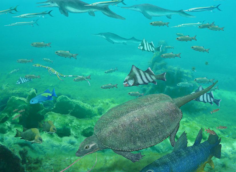 Der Massentod, der Groß und Klein gleichermaßen traf Paläontologie