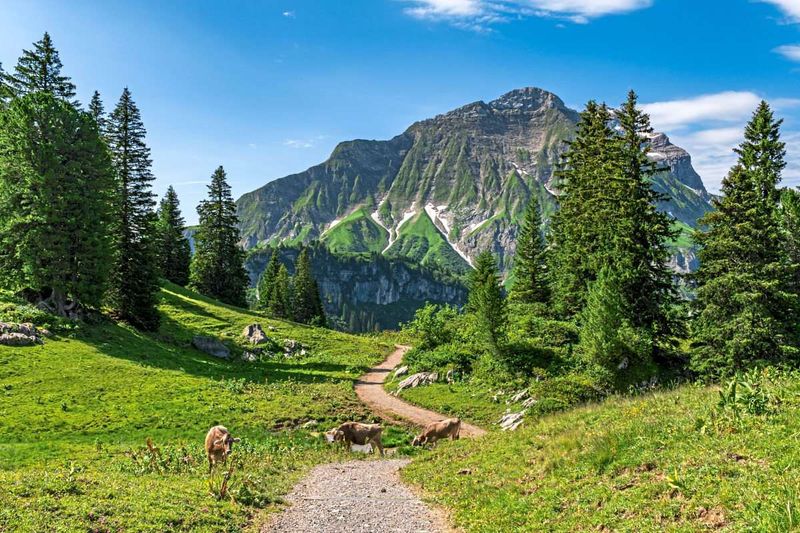 Das STANDARD-Quiz zur Landtagswahl: Wie gut kennen Sie Vorarlberg?