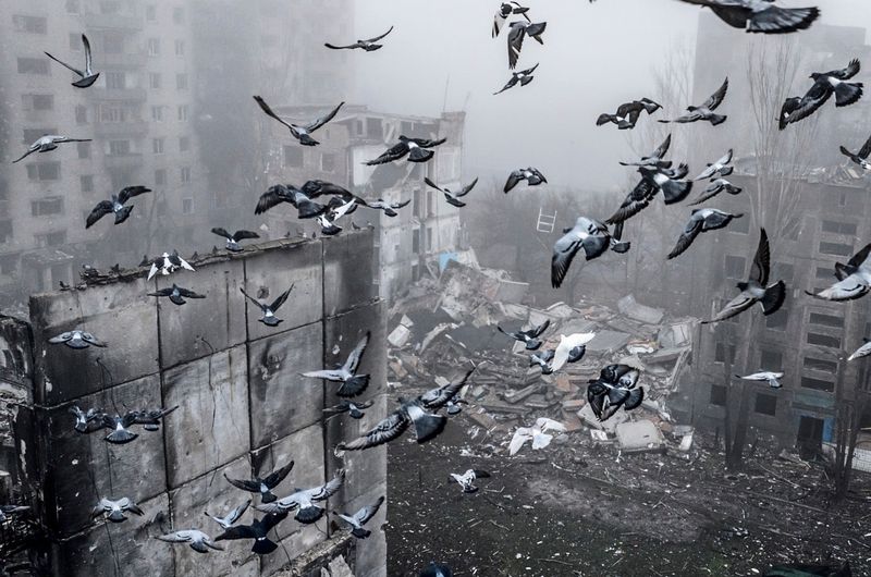 Zeit für Erneuerung: Die Sicherheit Europas braucht eine starke OSZE