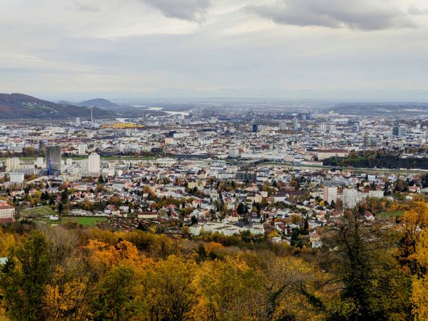 das-standard-quiz-zur-b-rgermeisterwahl-wie-gut-kennen-sie-linz