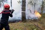 Waldbrand südlich von Paris: Feuerwehrmann gesteht Brandstiftung