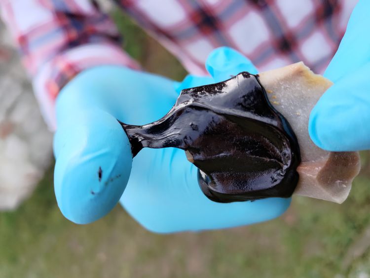 Schwarzer zähflüssiger Bitumen auf einer Steinklinge, gehalten von einer Hand mit blauem Plastikhandschuh