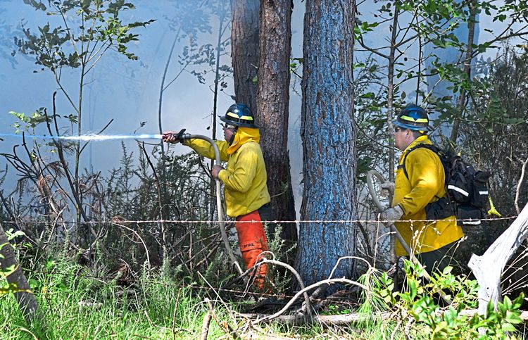 Feuerwehrleute bekämpfen Waldbrände auf Hawaii.