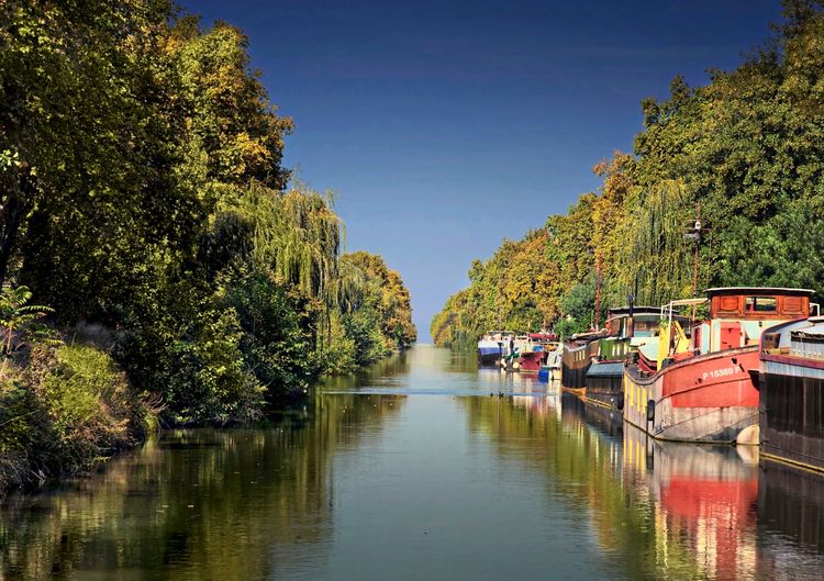 Ein ruhiger Abschnitt des Canal du Midi, flankiert von dichten, grünen Bäumen. Auf der rechten Seite liegen farbenfrohe Boote am Ufer vertäut. Der Himmel ist klar und blau.