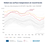 Globale Meerestemperaturen kletterten auf einen neuen Allzeitrekord Am 22. August erreichten die Meerestemperaturen im Mittel 21,1 Grad. Das ist der höchste je gemessene Wert