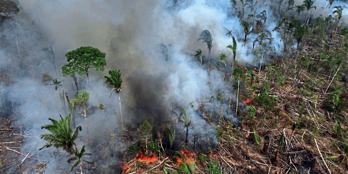Schwerste Brände im Amazonasgebiet seit über zehn Jahren