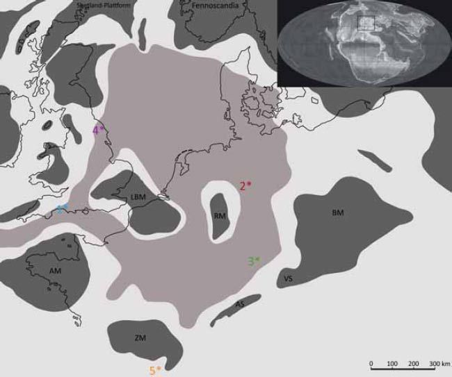 Westphaliasaurus simonsensii: Der Fund eines Lebens - Natur ...