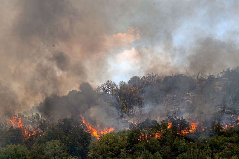 Waldbrand nahe Touristenort an kroatischer Küste ausgebrochen