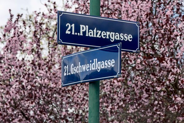 Unterwegs-im-Floridsdorfer-Fu-ballerviertel-Auf-den-Spuren-der-Botaniker-und-des-Wunderteams