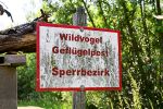 In Europa wächst die Sorge wegen ungewöhnlich früher Vogelgrippe-Welle ba78ee8d 88db 4472 8bd8 b993055fdb84