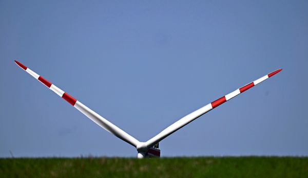 Volksentscheid-auf-wackligem-Fundament-Die-Windkraft-Frage-vor-dem-VfGH