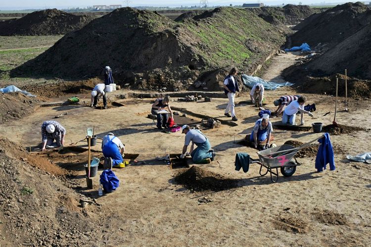 Archäologen führen Ausgrabungsarbeiten auf einem Freilandgelände bei Esperstedt in Sachsen-Anhalt durch. Mehrere Personen arbeiten an verschiedenen Stellen, graben und dokumentieren Funde. Im Hintergrund sind Erdhügel und Werkzeug zu sehen.