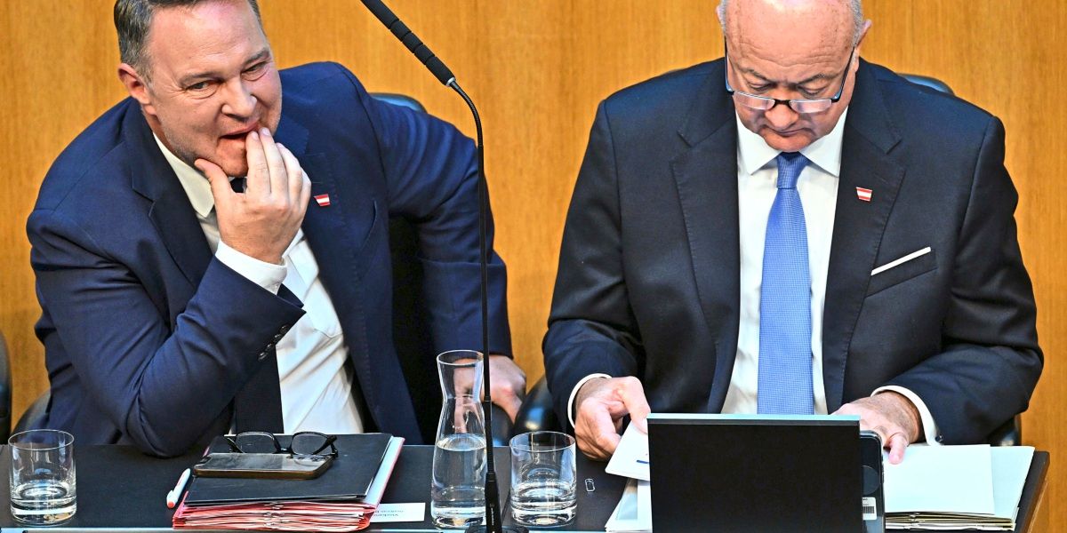 Even SPÖ voters agree: Red leadership debate is damaging the federal ...
