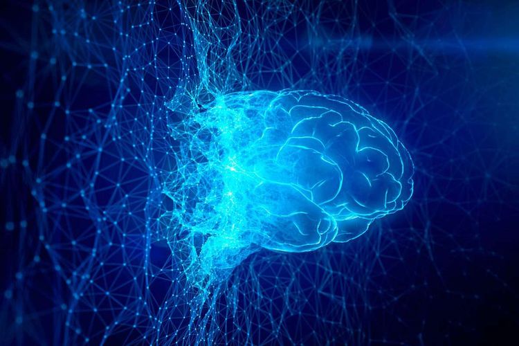 Das Bild zeigt die Illustration eines menschlichen Gehirns in einer Computerumgebung
