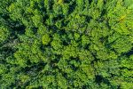 Den Wert der Natur endlich beziffern