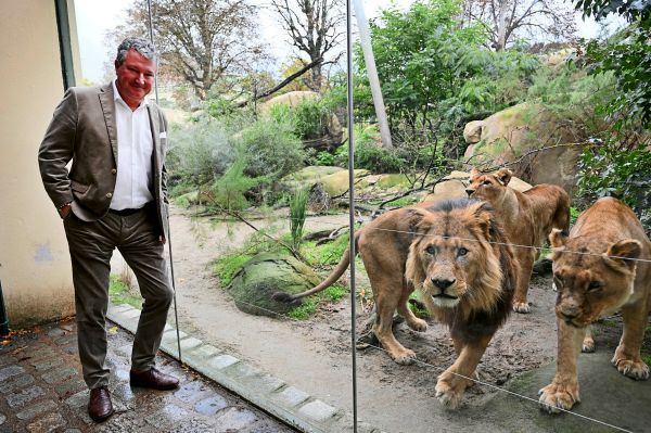 Sch-nbrunn-Direktor-Hering-Hagenbeck-Die-T-tung-eines-Zootieres-muss-m-glich-sein-als-letzte-Option-