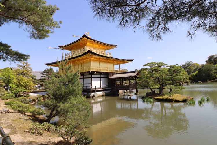 Tempel, Japan, Wasser, Bäume