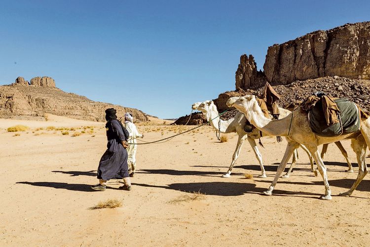 Sahara-Wüste, Algerien
