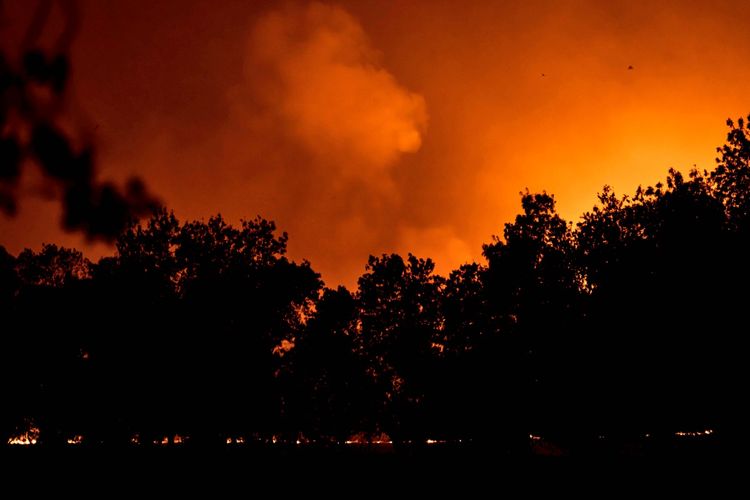 Ein Waldbrand in der Nähe der Stadt La Adrada in der Provinz Ávila, Spanien, am 26. Juli 2026. Flammen und dichter Rauch steigen in der Nacht über den Bäumen auf, während die Feuerwehr versucht, die Brände einzudämmen. Die orangefarbene Beleuchtung des Himmels hebt die Silhouetten der Bäume hervor.