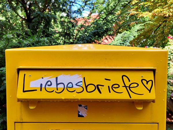 Welche-Singleb-rse-empfehlt-ihr-f-r-55-