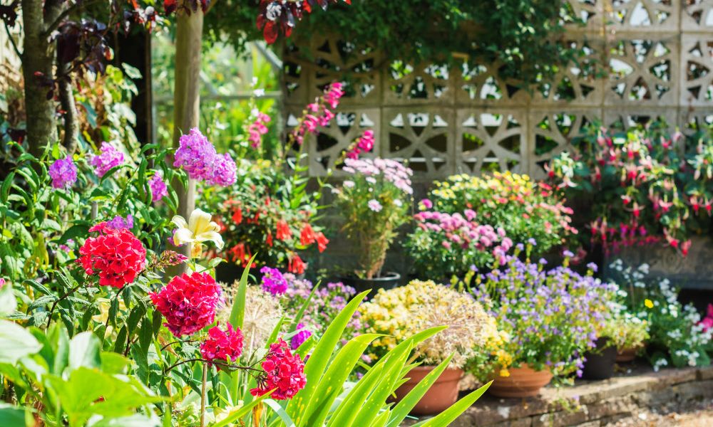 Was macht Ihren Garten bunt? Gartenforum derStandard.at › Lifestyle