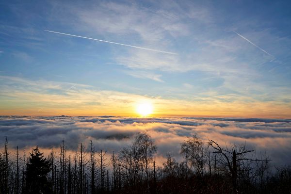 Der-Dezember-war-deutlich-zu-warm-und-au-ergew-hnlich-trocken