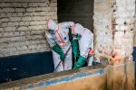 Mehr als 200 mutmaßliche Ebola-Tote im Ostkongo gemeldet 3300338e 2ce8 4226 b00c eef041c71de9